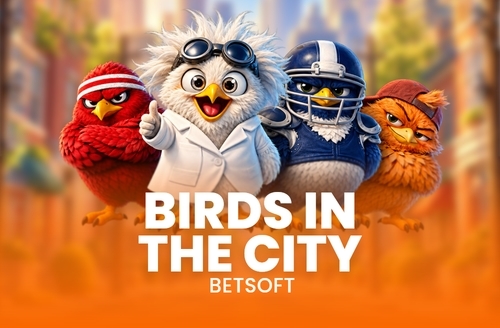 Birds in The City